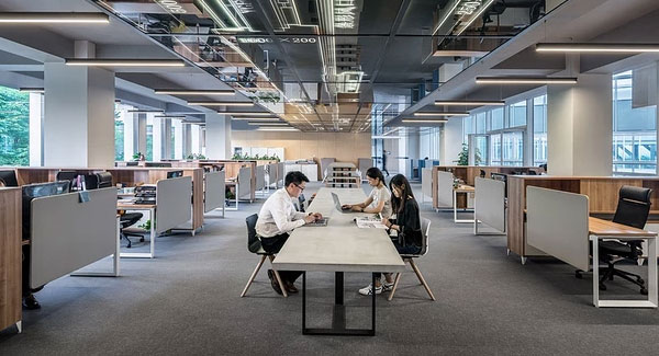 其他类型的公司